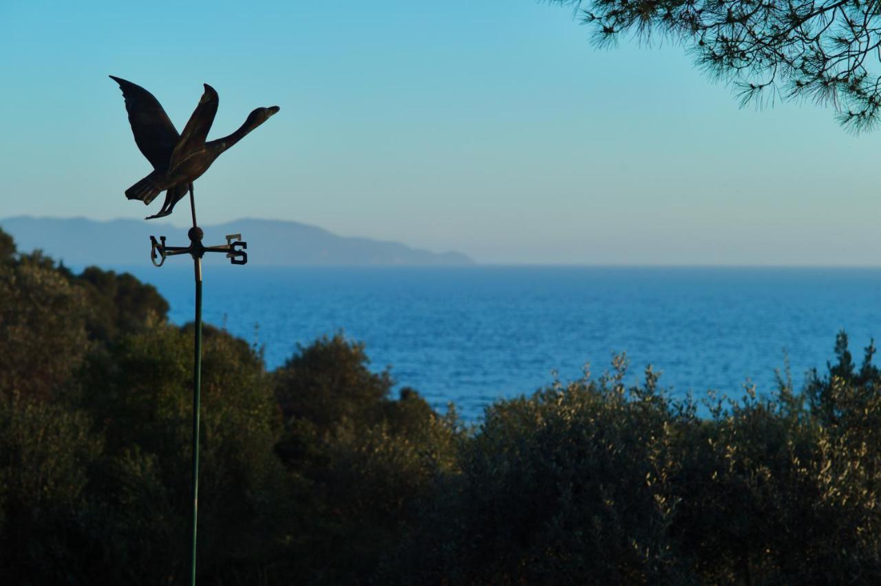 Villa Talamo Fonteblanda Εξωτερικό φωτογραφία